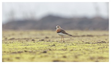181A0663_DxO