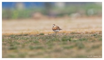 181A0830_DxO