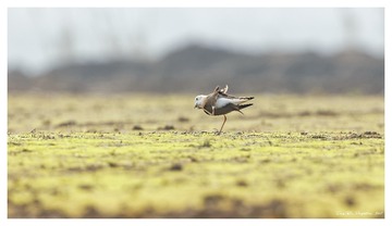 181A0671_DxO