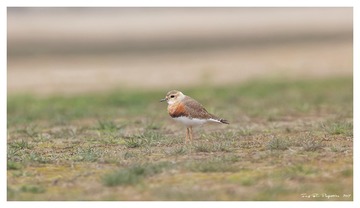 181A0860_DxO