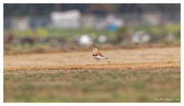 181A0818_DxO