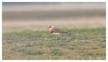 181A0914_DxO