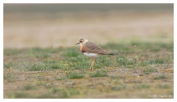 181A0925_DxO
