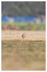 181A0814_DxO