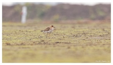 181A0764_DxO