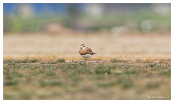 181A0830_DxO