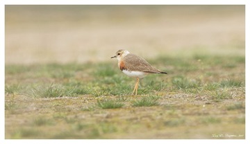 181A0925_DxO