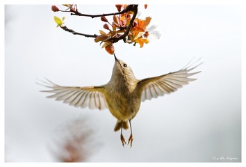 IMG_5894_DxO