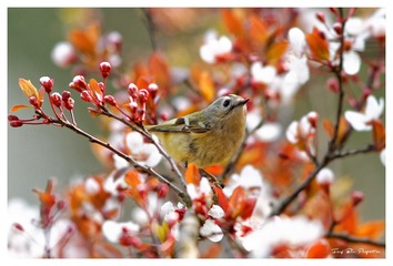 IMG_5977_DxO