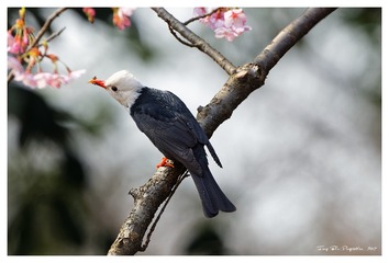181A0371_DxO