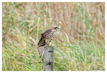 181A6114_DxO