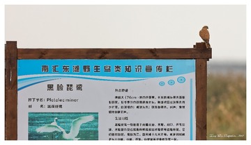 181A7866_DxO