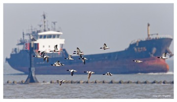 A78Q9237_DxO