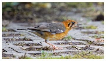 181A2780_DxO
