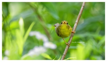 181A2821_DxO