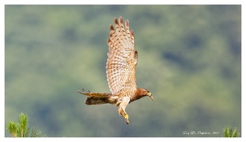 181A4498_DxO