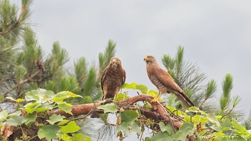 181A3851_DxO