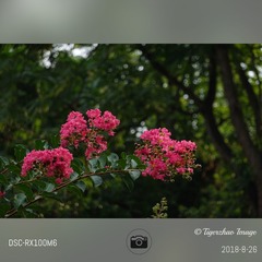 1295089