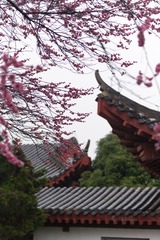 71BA10AB-EB96-41F6-AC47-B9FC568C8D40/L0/001