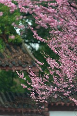 FA425802-D6B2-4B87-9448-CAE3F071F383/L0/001
