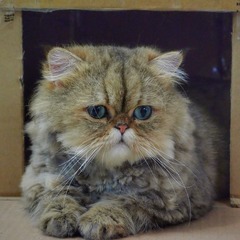 16612