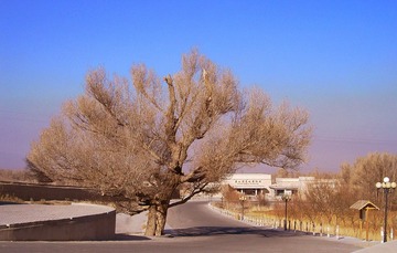 CIMG0160a