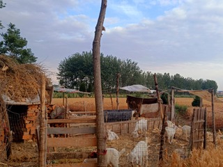 5052881