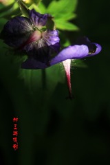 130753