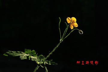 130757
