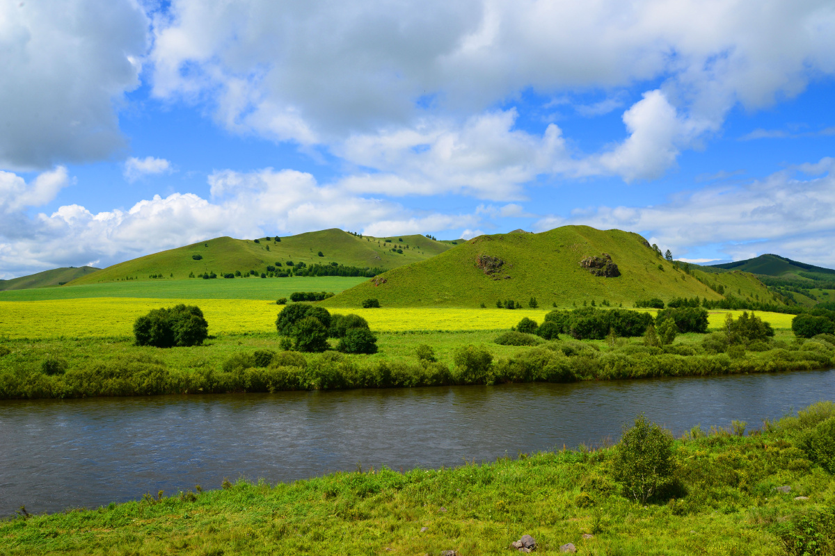 蓝天白云,金黄的油菜花,近处河流缓缓流动,构成一幅美丽的画面.