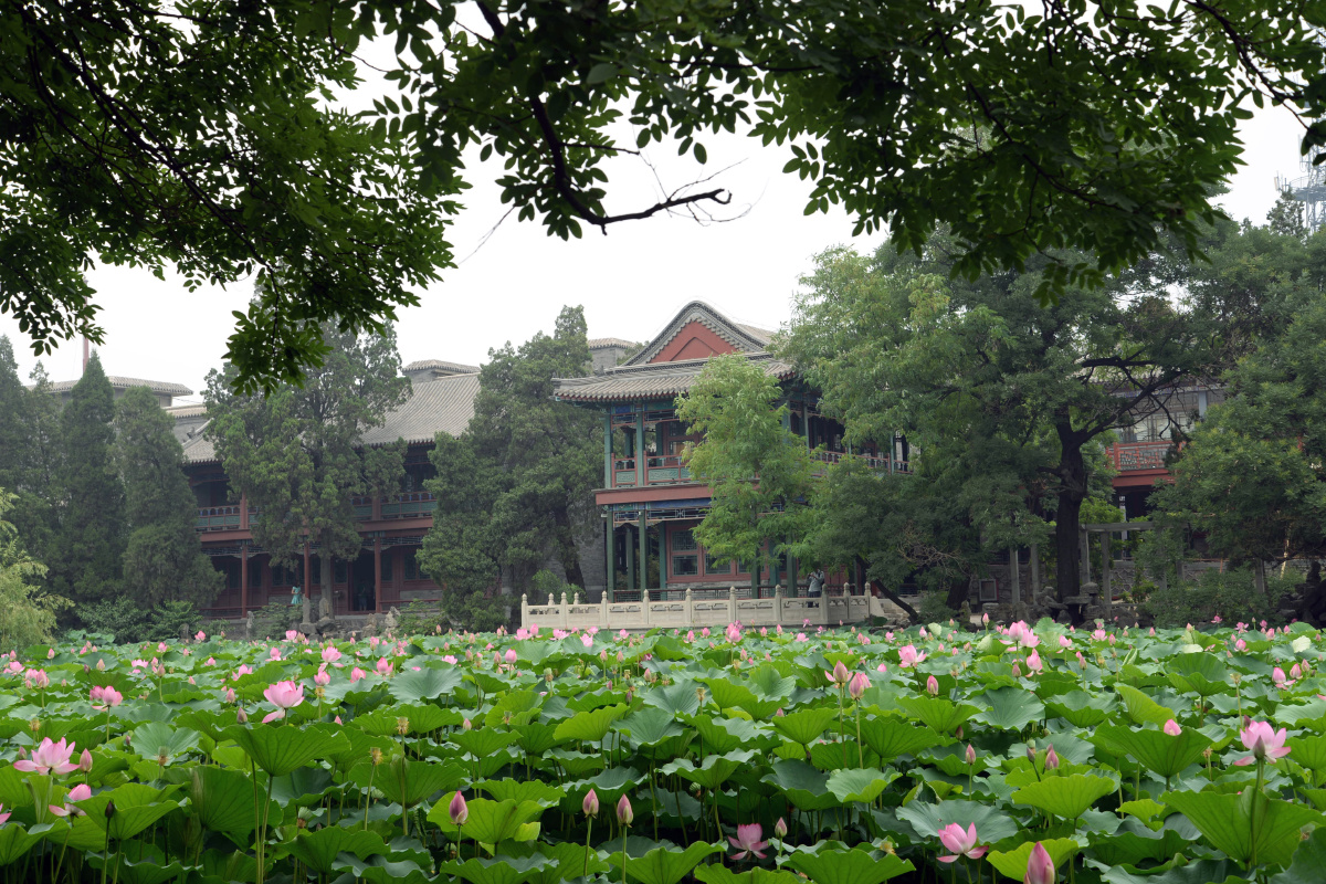 保定古莲花池