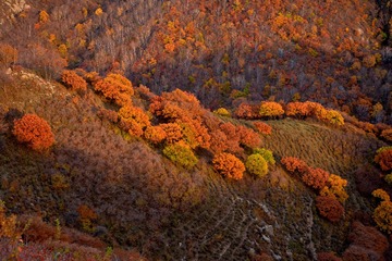 塞罕坝五道沟