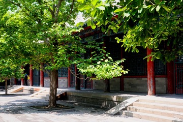 皇家院落