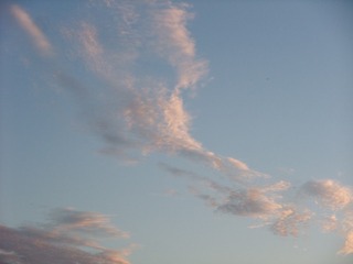 E4FD657C-B09B-4E1F-AA94-ACFE20E8E4D1/L0/001