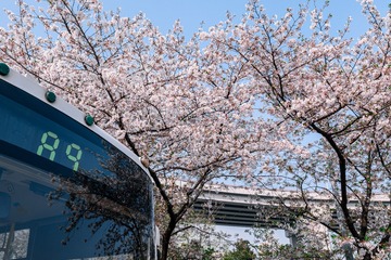 2290071