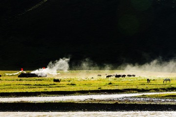 川西草原风光