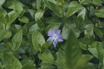 4F8E22FB-716F-4688-9065-DFC2CF6CAD63/L0/001