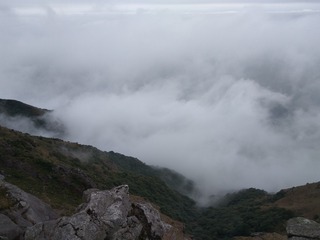 2325618