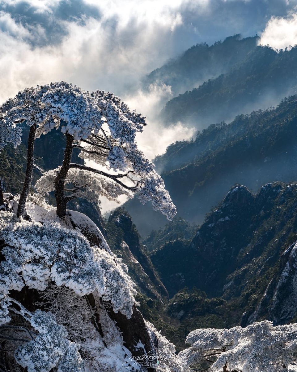 青松枯干仙身不老翁穹石埋根摇日月迎风傲雪耐霜冬sonyvisualsmy