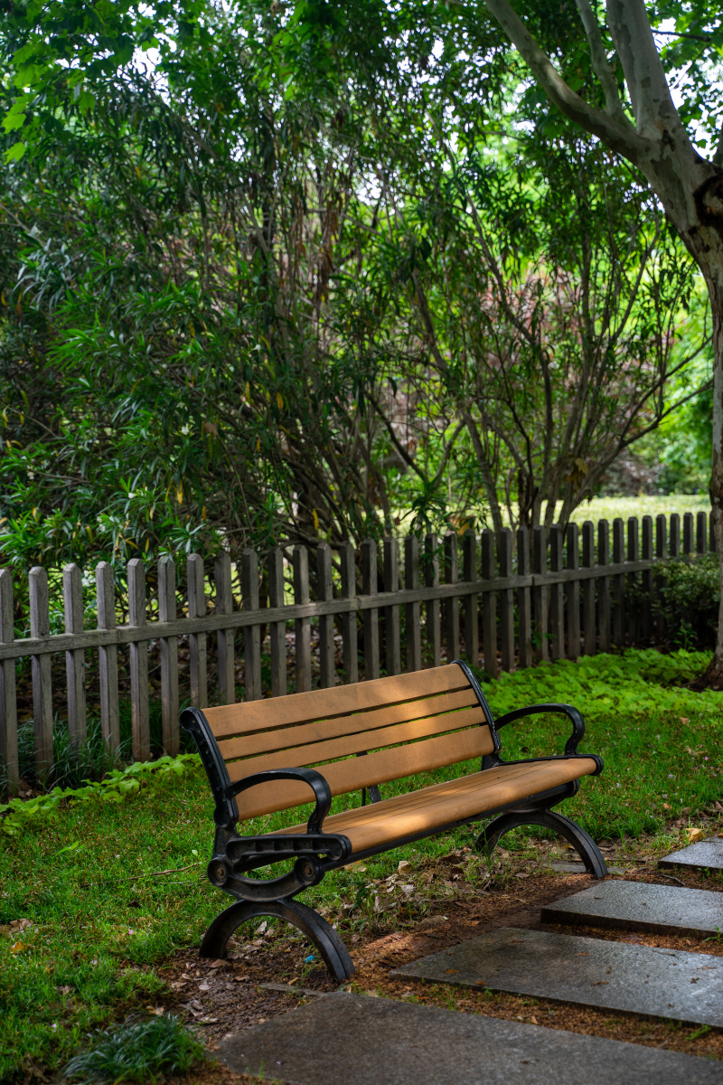 幽静的公园一角