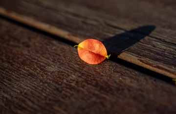 23025