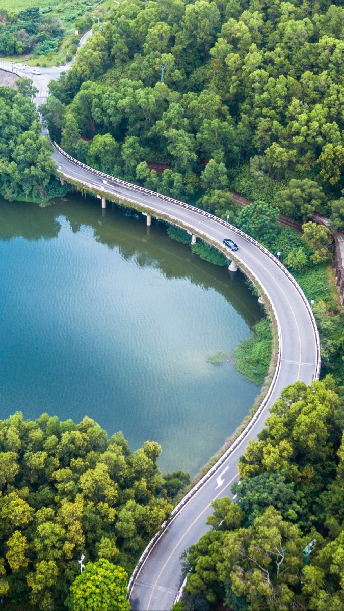 鸳鸯湖环湖路绿道停下来你能感受到大自然间的声与色