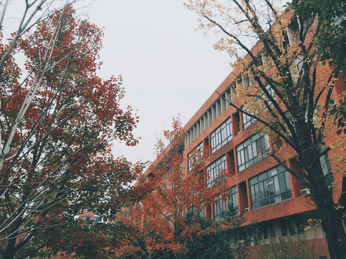 《华中科技大学文华学院》