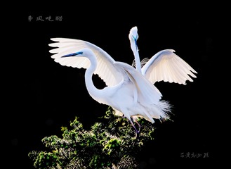 tmp_276a70be4303b9bc5f368b1782fb79f8