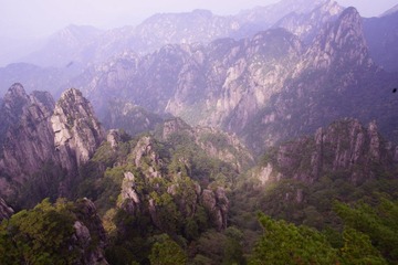 _DSC1190