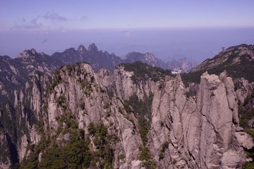 _DSC1295