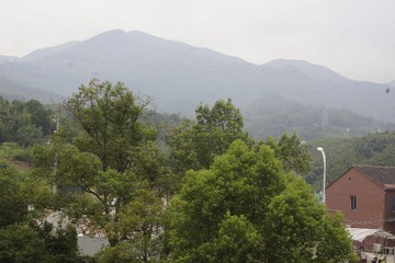 _DSC0895