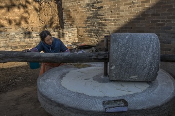_DSC0514