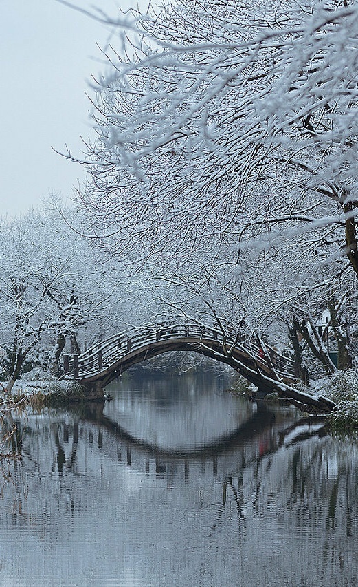 雪落残桥望君皆好