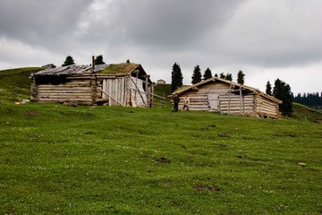 36051